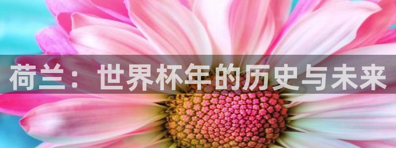 2026世界杯：荷兰：世界杯年的历史与未来