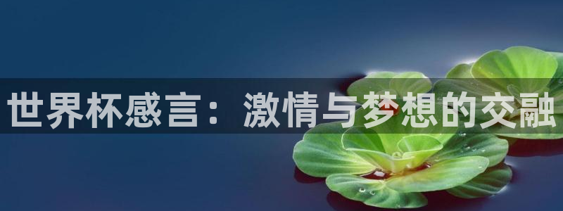 足球世界杯时间：世界杯感言：激情与梦想的交融