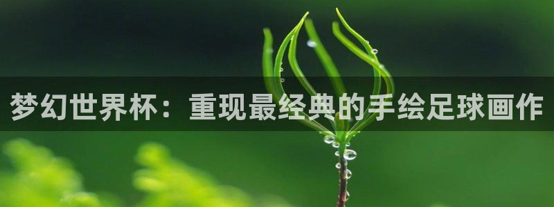 世界杯足球赛2026赛程时间：梦幻世界杯：重现最经典的手绘足球画作