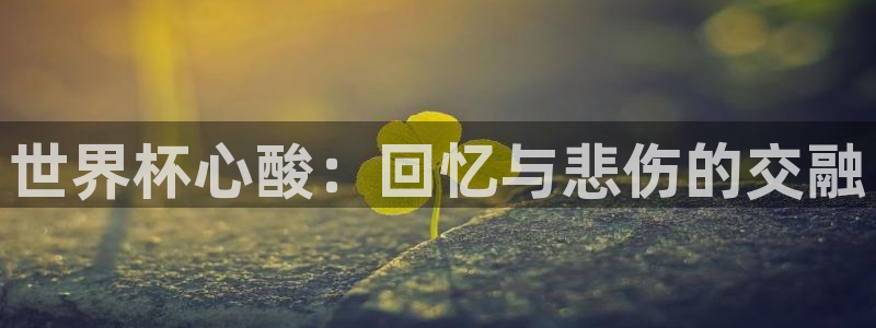 2026世界杯直播免费观看：世界杯心酸：回忆与悲伤的交融