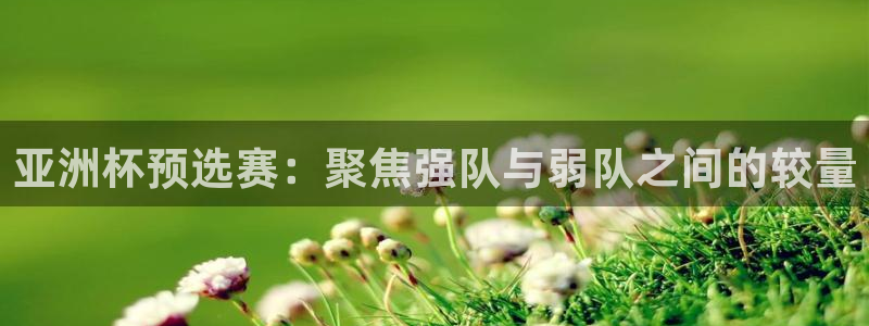 足球杯：亚洲杯预选赛：聚焦强队与弱队之间的较量