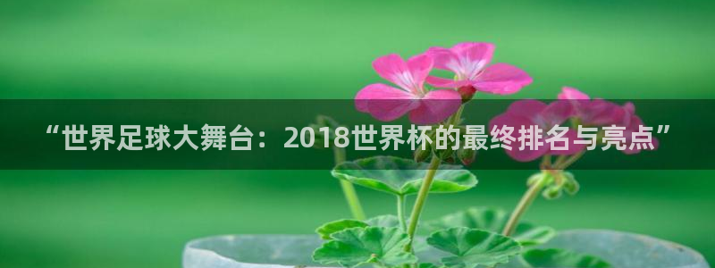 世界杯预选赛亚洲：“世界足球大舞台：2018世界杯的最终排名与亮点”
