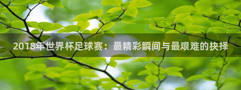 看世界杯：2018年世界杯足球赛：最精彩瞬间与最艰难的抉择