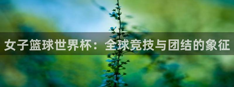 世界杯 2026：女子篮球世界杯：全球竞技与团结的象征