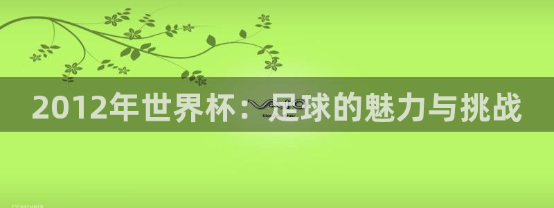 女足世界杯赛程：2012年世界杯：足球的魅力与挑战