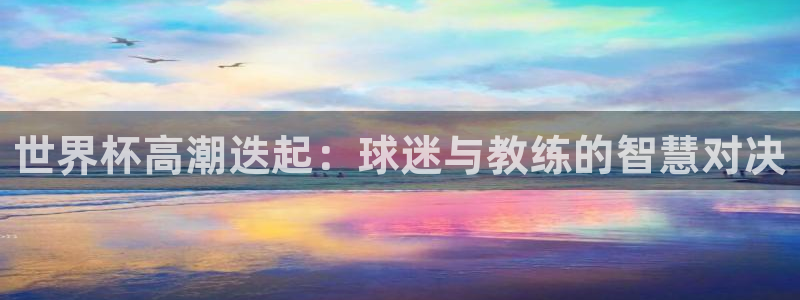 世界杯决赛预测：世界杯高潮迭起：球迷与教练的智慧对决