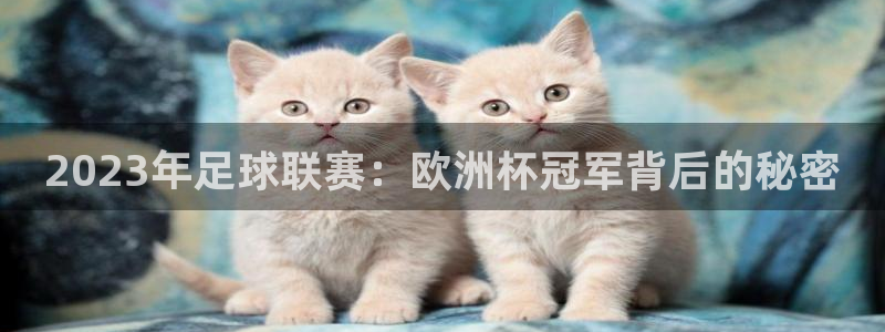 世界杯决赛圈球队：2023年足球联赛：欧洲杯冠军背后的秘密
