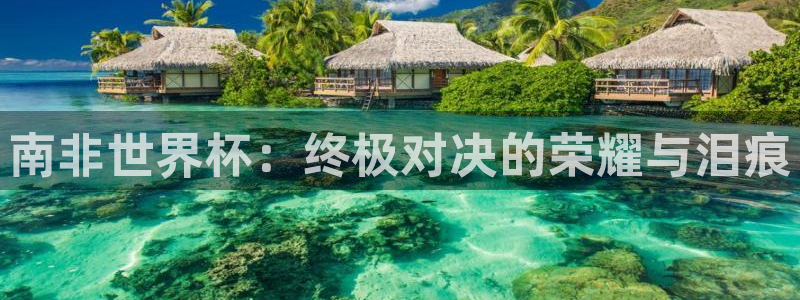 世界杯 赛程：南非世界杯：终极对决的荣耀与泪痕