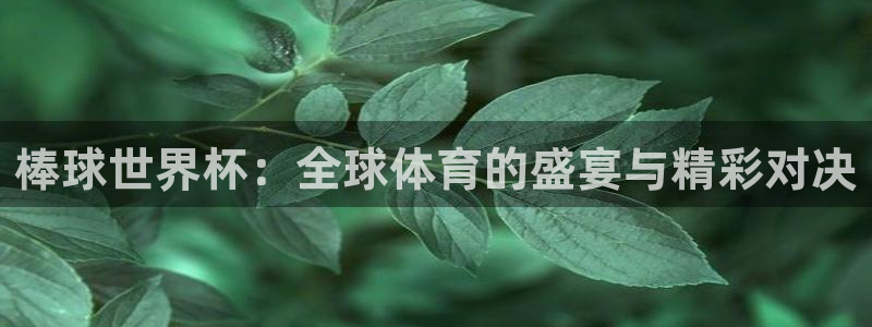 2026世界杯亚洲预选赛赛程：棒球世界杯：全球体育的盛宴与精彩对决