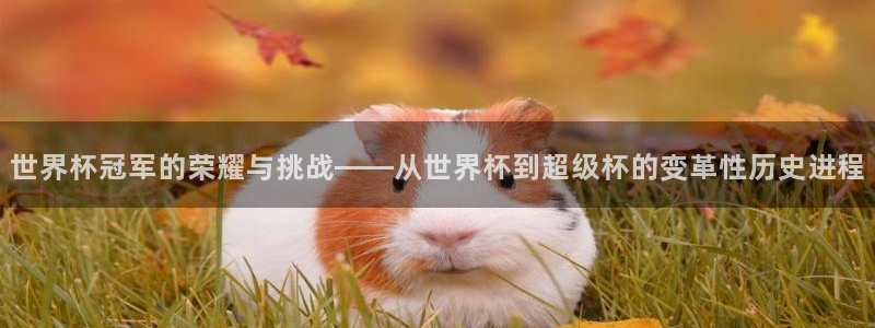 世界杯：世界杯冠军的荣耀与挑战——从世界杯到超级杯的变革性历史进程