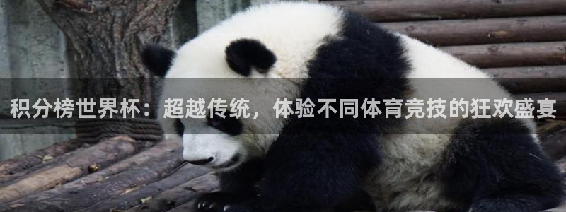 2026年足球世界杯赛程时间表：积分榜世界杯：超越传统，体验不同体育竞技的狂欢盛宴