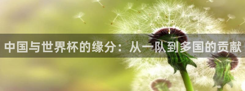 世界杯预选赛欧洲区赛程：中国与世界杯的缘分：从一队到多国的贡献
