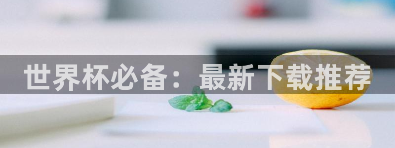 2006世界杯：世界杯必备：最新下载推荐